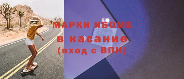 шишки Карпинск