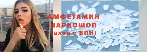 шишки Карпинск