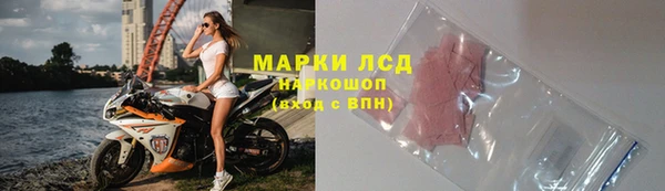 шишки Карпинск