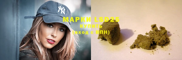 шишки Карпинск