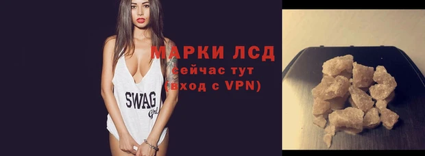 шишки Карпинск