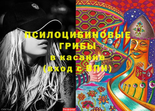 шишки Карпинск