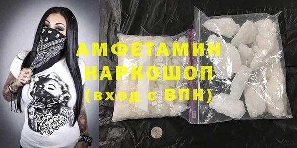 шишки Карпинск