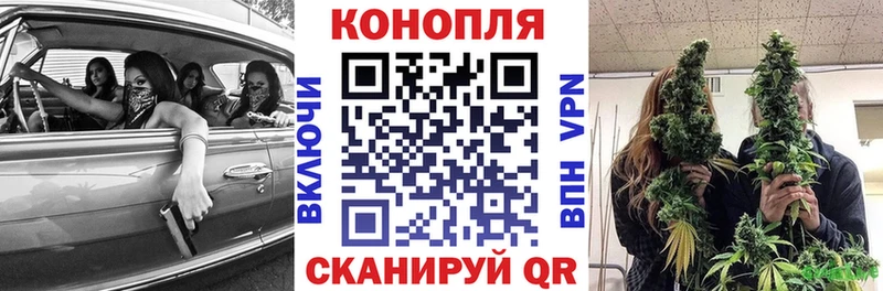 Купить где  Минусинск  Бошки марихуана VHQ 